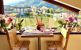Valtellina Mon Amour